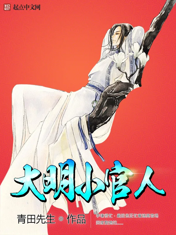 《大明小官人》小说封面