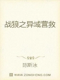 《战狼之异域营救》小说封面