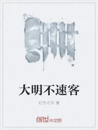 《大明不速客》小说封面