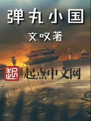 《弹丸小国》小说封面