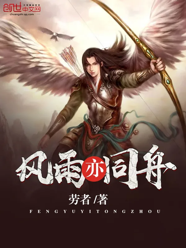 《风雨亦同舟》小说封面
