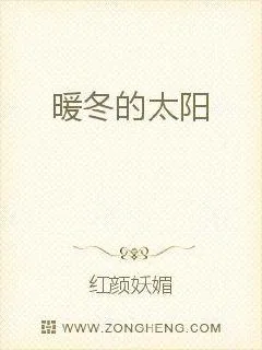 《暖冬的太阳》小说封面