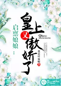 《启禀娘娘：皇上又傲娇了》小说封面