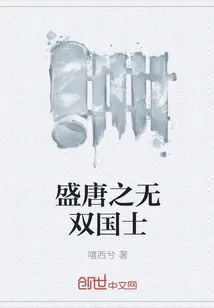 《盛唐之无双国士》小说封面