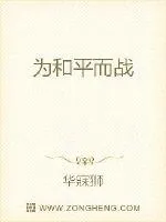 《为和平而战》小说封面