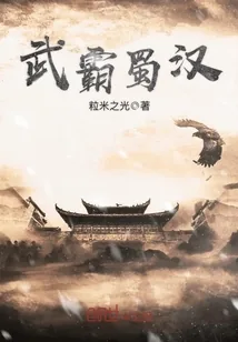 《武霸蜀汉》小说封面