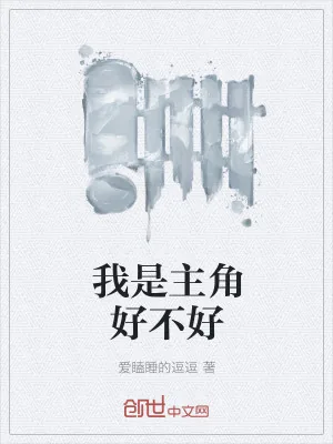 《我是主角好不好》小说封面