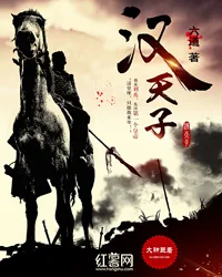 《汉天子》小说封面