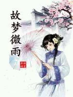 《故梦微雨》小说封面