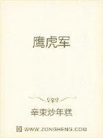 《鹰虎军》小说封面