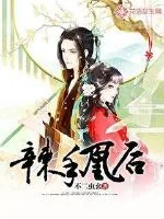 《辣手凰后》小说封面