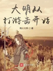 《大明从打游击开始》小说封面