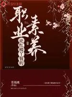 《论红楼丫鬟的职业素养》小说封面