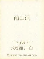 《酹山河》小说封面