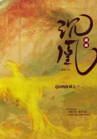 《藏渊沉凰》小说封面