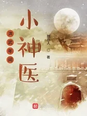 《洪武年间小神医》小说封面