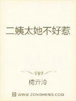 《二姨太她不好惹》小说封面