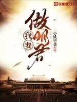 《我要做明君》小说封面