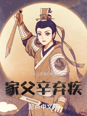 《家父辛弃疾》小说封面