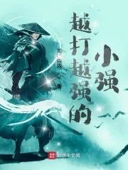 《明末流贼模拟器》小说封面