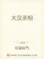《大汉丞相》小说封面
