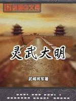 《灵武大明》小说封面