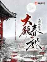 《大魏春秋》小说封面