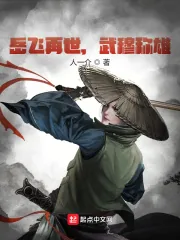《岳飞再世，武穆称雄》小说封面