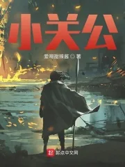 《小关公》小说封面