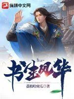 《书生风华》小说封面