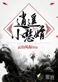 《逍遥小憨婿》小说封面
