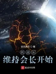 《抗战从民兵开始》小说封面