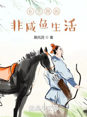 《在三国的非咸鱼生活》小说封面