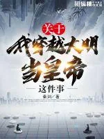 《关于我穿越大明当皇帝这件事》小说封面