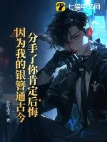 《分手了你肯定后悔，因为我的银簪通古今》小说封面