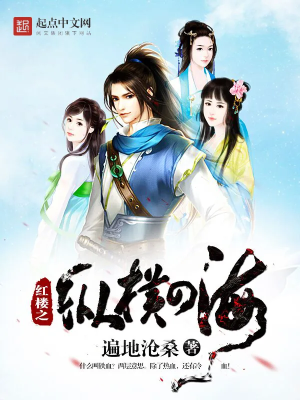 《红楼之纵横四海》小说封面