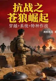 《抗战之苍狼崛起》小说封面