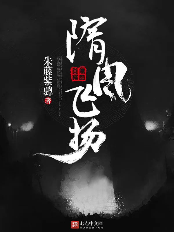 《隋风飞扬》小说封面