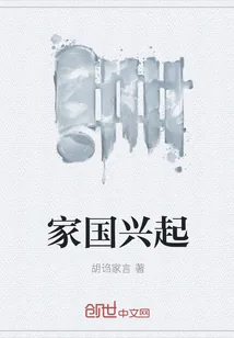 《家国兴起》小说封面
