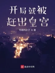 《开局就被赶出皇宫》小说封面