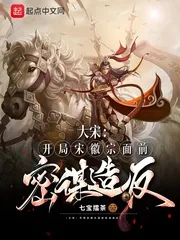 《大宋：开局宋徽宗面前密谋造反》小说封面