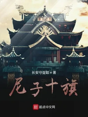 《战国之尼子十旗》小说封面