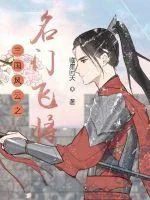 《三国风云之名门飞将》小说封面