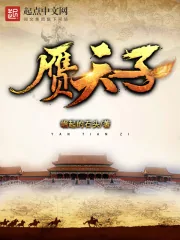 《赝天子》小说封面