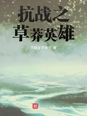 《抗战之草莽英雄》小说封面