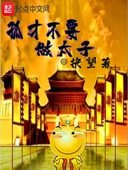 《孤才不要做太子》小说封面