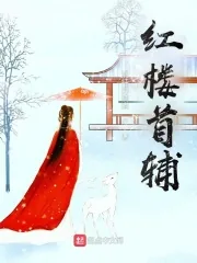 《红楼首辅》小说封面