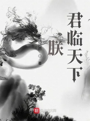 《朕，君临天下！》小说封面