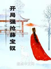 《红楼：开局把薛宝钗带回家》小说封面