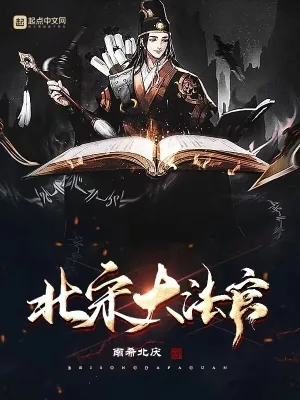 《北宋大法官》小说封面